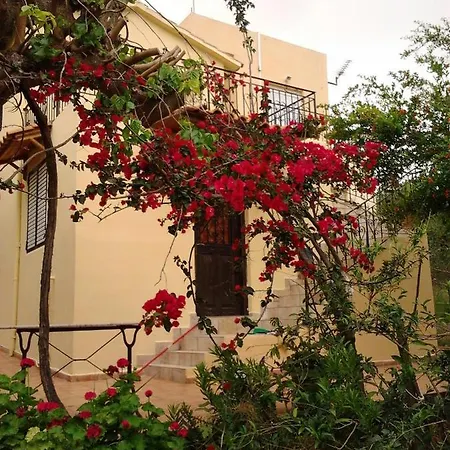 Ktima Tzamika * Episkopi-Chania