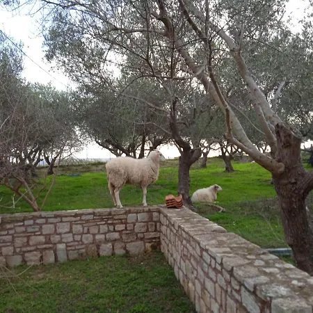 Ktima Tzamika Apartment Episkopi (Rethymno)