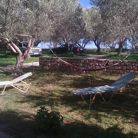 Διαμέρισμα κτήμα τζαμήκα