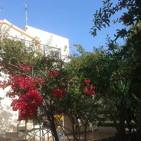 Διαμέρισμα κτήμα τζαμήκα