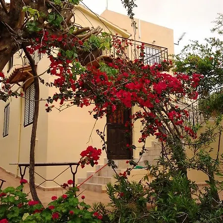 Ktima Tzamika Apartment *