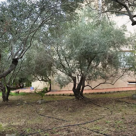 κτήμα τζαμήκα Διαμέρισμα *