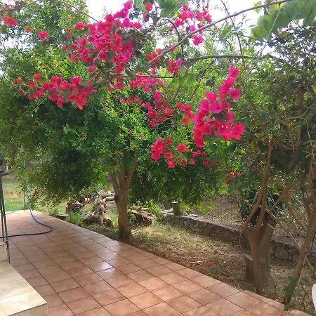 Ktima Tzamika Apartment