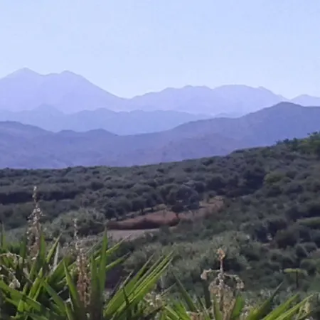 κτήμα τζαμήκα *