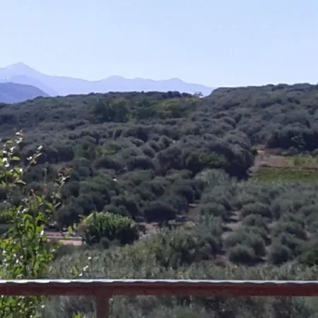 Ktima Tzamika * Episkopi (Rethymno)