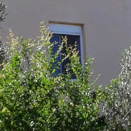 κτήμα τζαμήκα *