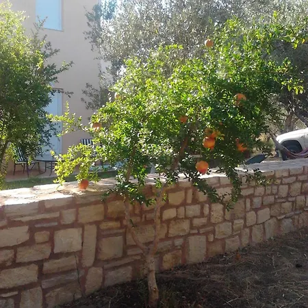 Apartment Ktima Tzamika