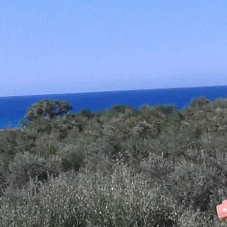 κτήμα τζαμήκα * Επισκοπή Χανίων