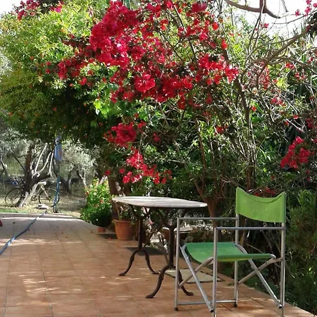 Apartment Ktima Tzamika *