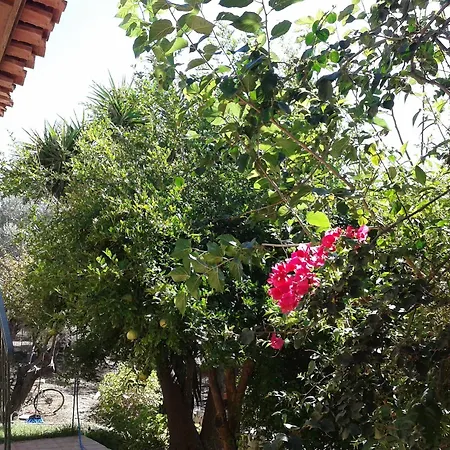 κτήμα τζαμήκα Διαμέρισμα