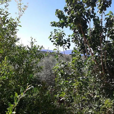 Ktima Tzamika Episkopi (Rethymno)