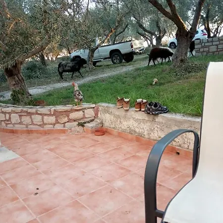Ktima Tzamika * Episkopi (Rethymno)