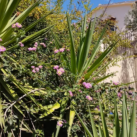 Ktima Tzamika Appartamento Episkopi-Chania