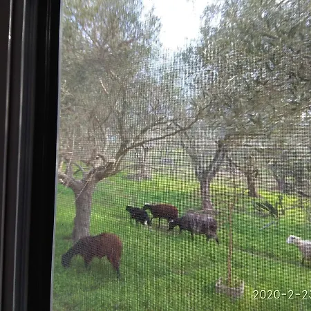 Appartamento Ktima Tzamika Episkopi-Chania